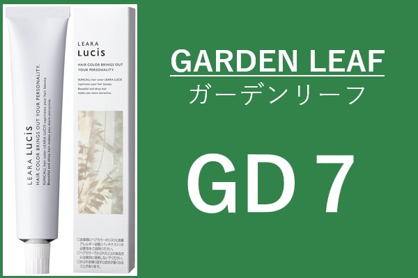 ｻﾝｺｰﾙ　ﾚｱﾗ ﾙｼｽ GD 7 80g 2024.2.16 発売