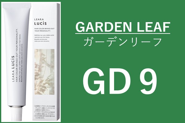 ｻﾝｺｰﾙ　ﾚｱﾗ ﾙｼｽ GD 9 80g 2024.2.16 発売